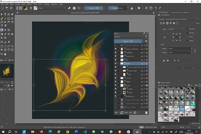 krita-transform-capture