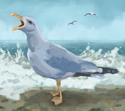 seagull_final_1500
