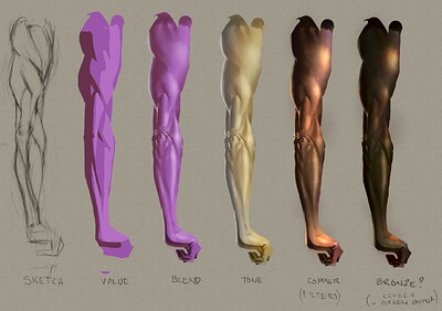 triceps