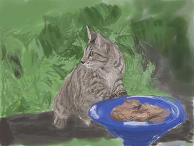 kitten-birdbath-3541-2