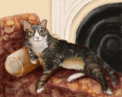 cat_lounge_sm