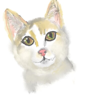 cat-att1-18.04.2024