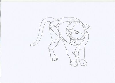 cat2