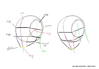 Head study 1