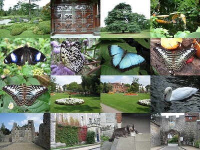 Example-ThumbGrid-4x4-1600x1200