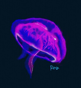 jellyfish1--prac--11.05.2024
