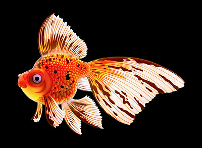 goldfish2crop2smssseffectspriteilluminator