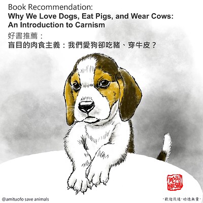 Book Recommendation
