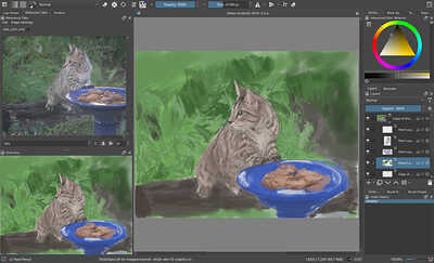 kitten-birdbath-screenshot