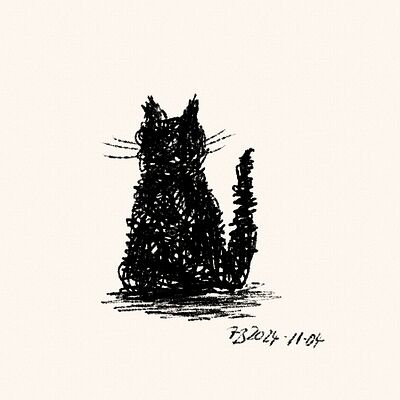 Fluffy Black Cat