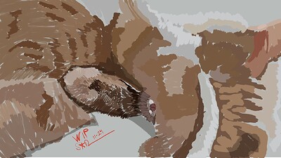 Krita Challenge 1124 - WIP- Princess Ginger Fluff