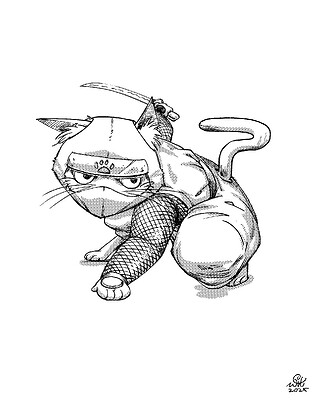 CatFighter01-08