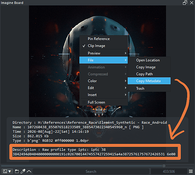 ib_copy_metadata