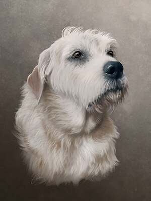 495268360_689603803661504_709393654004375411_n