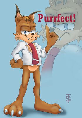 Bubsy Bobcat in his new outfit featured in Bubsy 4D. He's pointing to the word "Purrfect!".