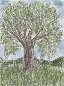 tree-081622-color