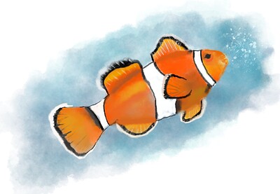 clown fish-attempt 1 - freehand-