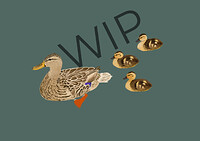 duckswip1
