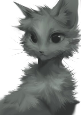kitten2