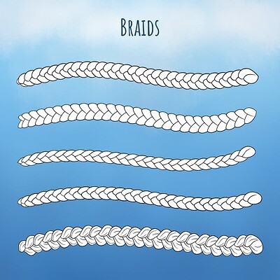 Braids 1