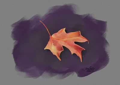 Leaf Color Study a1 01172025