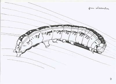 caterpillar