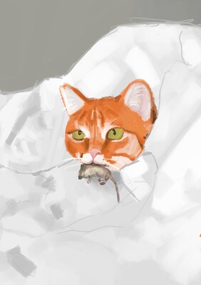 cat caty cat2