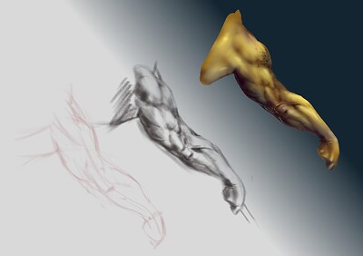 tricep2
