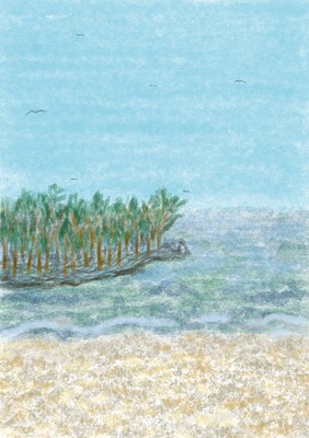 skb09_jschinn_04_all01