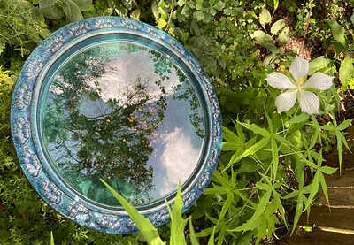 birdbath-reflection-hibiscus_comp