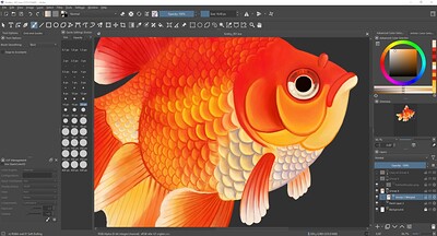 goldfishkrita45process_compressed