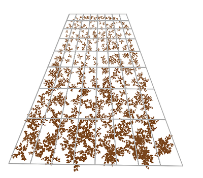 Size with Perspective