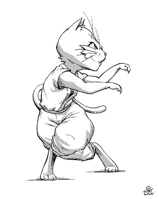 CatFighter01-02
