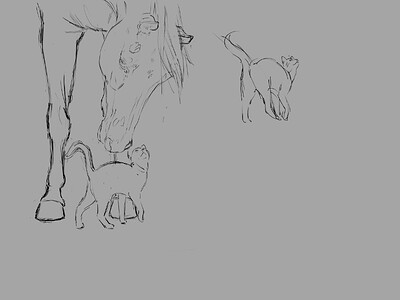Curious Animals