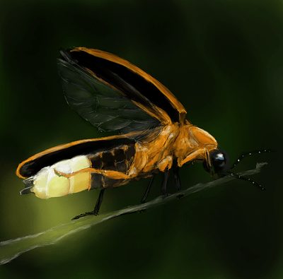 Screenshot_20230909-202404_kindlephoto-1360474422