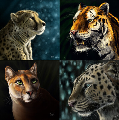 instagram-big-cat-story