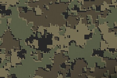 US4CES