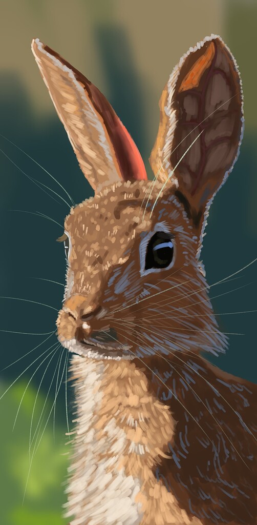 Curious rabbit - Finished Artworks - Krita Artists