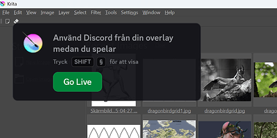 Skärmbild 2025-05-01 081704