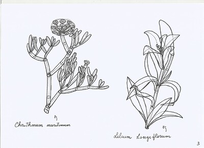 plant-construction-3
