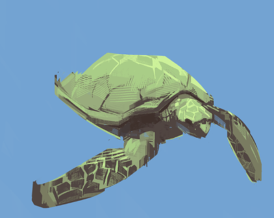 tortle