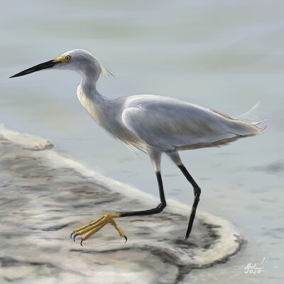 snowy-egret-painting