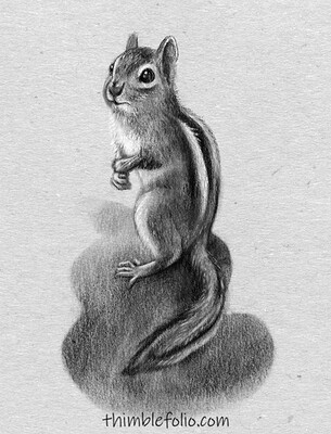 chipmunkcrop_01