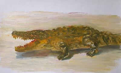 crocodile.2023
