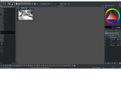 screenkrita
