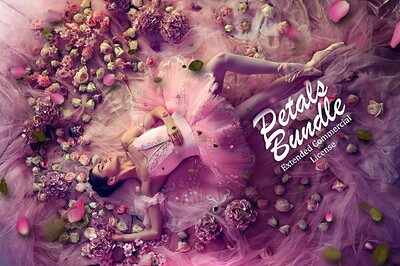 Cover - Main Preview 1