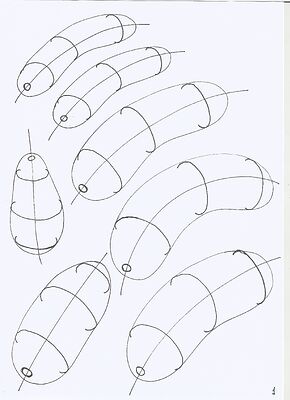 contour-curves1