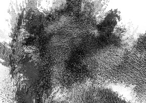 DigiInkblot1