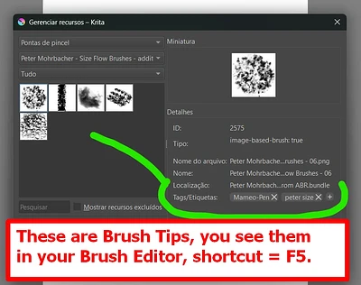These are Brush Tips