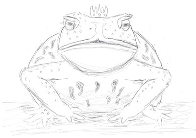 ToadLordSketch